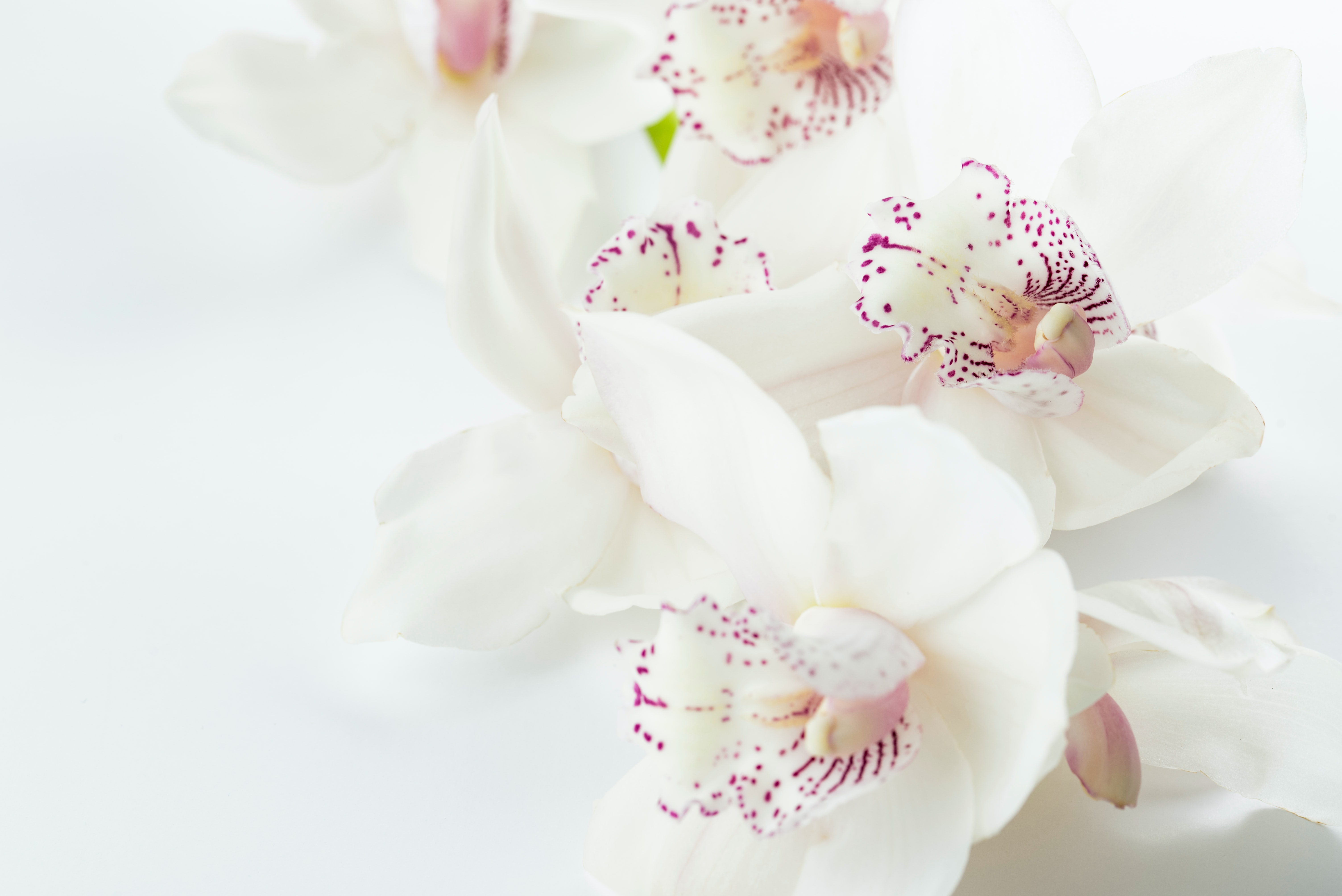 CHI Massage behandling